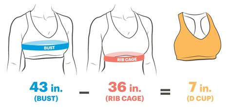 f boobs|Finally, Bra Sizes Explained – Understanding How Bra And Cup。